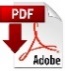 pdf-icon.jpg