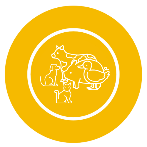 Senasa