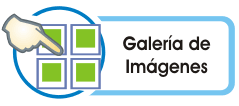 |/genero/galerias/galeria_galerias.html