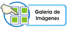 |/rednia/foro-2013/galeria_foro-2013.html